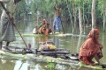 ব্রহ্মপুত্র ও করতোয়া নদীর পানি অব্যাহত থাকায় বন্যা কবলিত এলাকার পানিবন্দী মানুষের চরম দুর্ভোগ-পিএনএস