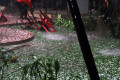 আকস্মিক শিলা ঝড়ে কেঁপে উঠেছে রাজধানী। বুধবার শিলা বৃষ্টিতে রাজধানীর রাস্তা-ঘাট শিলায় জমে যায়। দুর্ভোগে পড়ে রাজধানীবাসী। –পিএনএস