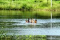 ভরা বর্ষায় কাপ্তাই হ্রদের থইথই পানিতে নাইতে নেমে দুরন্তপনায় মেতেছে শিশুরা