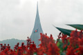 লাল সবুজের মোহনীয় দৃশ্য