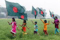 লাল সবুজের মোহনীয় দৃশ্য