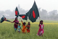 লাল সবুজের মোহনীয় দৃশ্য