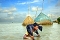মানিকগঞ্জের শিবালয় উপজেলার আলোকদিয়াসহ বহু গ্রাম বন্যায় প্লাবিত হয়েছে। বন্যা কবলিত এলাকার মানুষ পড়েছে দুর্ভোগে। 